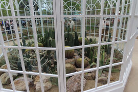 大阪 夢洲 大阪・関西万博 静けさの森(Forest of Tranquility,Expo