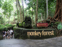 マレーシア航空ビジネスクラスで行くバリ島　７．緑豊かなウブドに移動し街巡り　その１．モンキーフォレスト