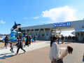 ２０２５初の温泉は息子家族と三日月シーパークホテル＆鴨川シーワールドに行ってみた