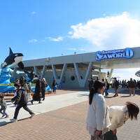 ２０２５初の温泉は息子家族と三日月シーパークホテル＆鴨川シーワールドに行ってみた