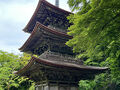 海の京都・山の京都へ４新緑のもみじ寺と竹田城跡