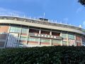 真夏の全国ツアーとテレ朝夏祭りなど