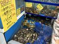 幻のハマグリを買いに行きました