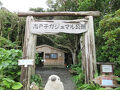 屋久島と薩摩半島周遊withゴエモンPart1　屋久島到着