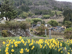 春の長野*日帰りドライブ【平岡ダム・遠山郷土館 和田城・諏訪湖・しもすわ今昔館おいでや・駒ヶ岳SA】