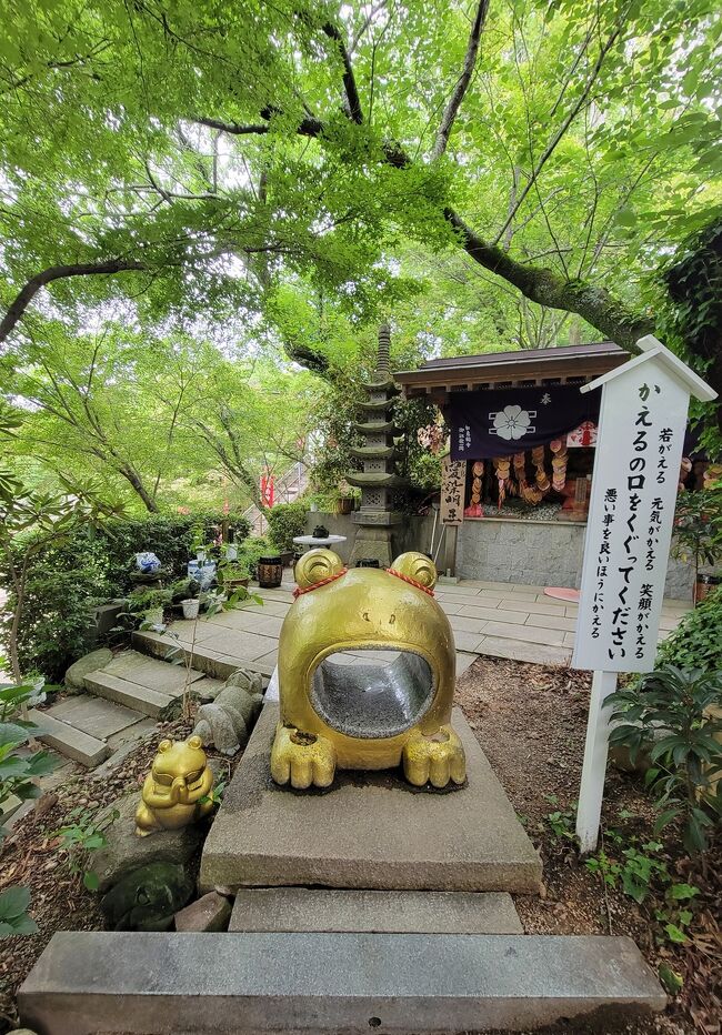 最終日は<br />6時15分の福岡行きの<br />バスに乗るために5時に起床。<br /><br />目的地は福岡県小郡市にある<br />如意輪寺、通称かえる寺。<br /><br />如意輪寺には<br />10000体ものかえるの置物があり<br />現在はフォトスポットとしても<br />国内外からたくさんの観光客が<br />訪れているそうです。