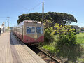 2025　日本4月編 桜後の日本列島、北から南へ電車と街歩きの旅　4