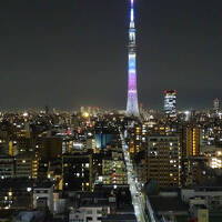 2025年 栃木出張 (6 days) =DAY 5=