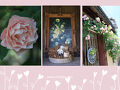 まるで英国のお庭の様♪　イングリッシュガーデンbluemoon cottageさんのオープンガーデン♪