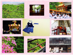 新緑の山　SPRING ？VALLEY でエール　春の祭り　サツキの庭　時々　老母とのら猫のお話