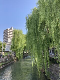 出張で初めての前橋へ(2) 仕事前の街歩き① "八展通り"～"中央前橋駅"～"萩原朔太郎記念館"。"広瀬川と枝垂れ柳" が美しかった！