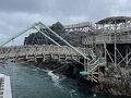 神津島・式根島・新島周遊① 神津島一人旅