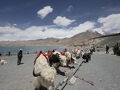 中国一人旅　上海・新疆ウイグル自治区カシュガル・広州の旅　④