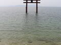 琵琶湖を一周する旅 3日目-1 白鬚神社編