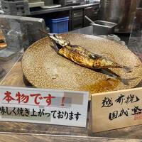 琵琶湖を一周する旅 1日目-2 SA巡り編