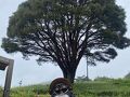 琵琶湖を一周する旅 4日目-2 長浜八幡宮と帰宅編