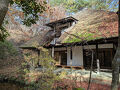 2024 福島の旅 &#10113;　最終日は『 川内村を散策 』