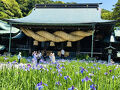 菖蒲まつり　「日本一の大しめ縄｣と｢光の道｣の宮地嶽神社　そして締めは｢資さんうどん｣