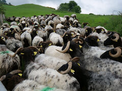 ピレネーを越え、メセタを往く 16日間の巡礼記　1/16 日目