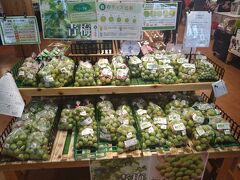 旅行体験記2025～田辺～約半年ぶりの和歌山、梅が有名な都市で和歌山の新たな楽しみ方教えます！