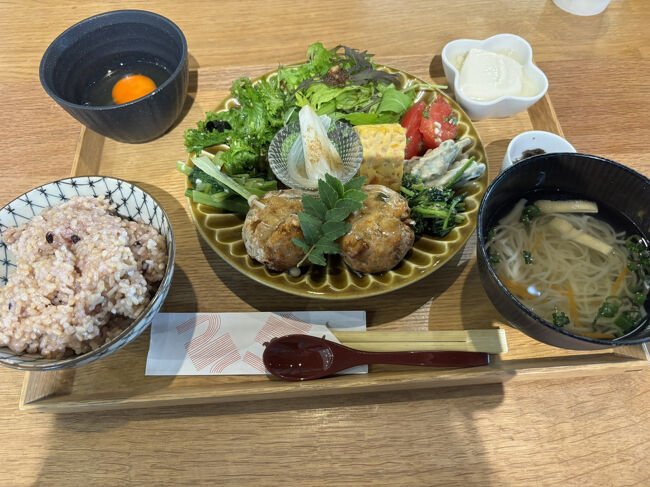 龍野の続きです。<br /><br />城下町を歩きました。<br />ヒガシマル醤油資料館ではお醤油を造る工程やむかしながらの道具などを見学、お土産にお醤油などを購入。<br />そのご、クラテラスで発酵ランチ、お醤油ソフトクリームを食べました。<br />ランチはお豆腐を使ったハンバーグ、生卵もついてきて、お醤油もいろんな種類を楽しめます♪<br />とても美味しいランチでした。<br />お醤油ソフトクリームも甘くてしょっぱいという絶妙な味、帰り道にはお醤油饅頭も買いました。<br /><br />静かで綺麗な街並みの龍野を楽しみました♪