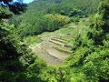千枚田と鞍掛山