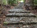 熊野古道大門坂へ行ってきました。