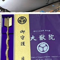 スペーシアXで日光金谷へ。大猷院のうまろきゃ様を見て、龍神破魔矢を買って、福きたれ。