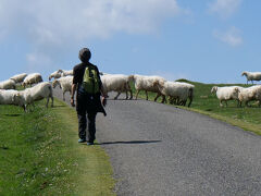 ピレネーを越え、メセタを往く 16日間の巡礼記　2/16 日目