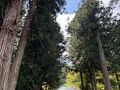 盛岡の街歩きと＊岩手の桜＊で締めくくり ②＜平泉「毛越寺」「中尊寺」編＞