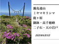宮崎県の旅行記