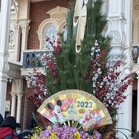 2023年共働き夫婦の子連れディズニーランド♪（中2、年長、1歳5ヶ月）