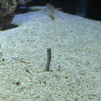 美味しいものいっぱい四国旅Part1