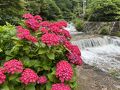 ⑦マダムの暮らすように旅する福岡・大分・佐賀6月　日帰りバス旅行２の２　佐賀見帰りの滝～夕食（於：シャンリー）～博多駅