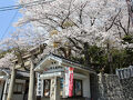 2025年 神戸・姫路・龍野（＋夙川）桜見物 １日目（その２）
