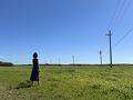 2025年3月　寒波だったけど美しい海を感じた黒島旅　その3