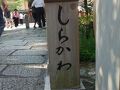 祇園白川をそぞろ歩き。まだ明るくて、風情に欠ける。