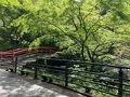 202506母と伊香保温泉電車旅