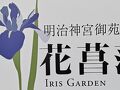 明治神宮御苑 花菖蒲