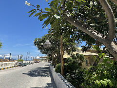 ギリ・トラワンガン島☆5泊6日（4）街歩き