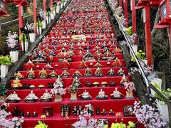 かつうらビッグひな祭りも鑑賞し、春を探すドライブ旅