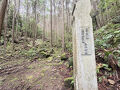 2025年06月　熊野古道ハイキング　伊勢路６　三木峠道・羽後峠道