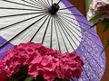 京都　岩船寺　三重塔と紫陽花