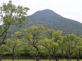 鹿児島県の霧島神宮温泉（民宿きりしま路）指宿温泉（ローズマリーホテル）妙見温泉（やまのゆ）に宿泊