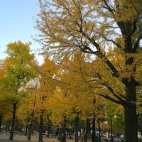 芝公園・時をかける謎解き再び