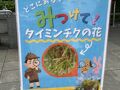 江の島