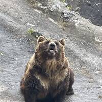 津軽海峡フェリーで行く道南(函館、鹿部、洞爺湖、登別、室蘭)の旅