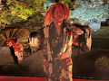 紅葉の鹿王院特別公開