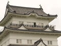 【旅行記】2025年6月伊東温泉～小田原城でアジサイをめでる～