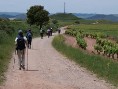 ピレネーを越え、メセタを往く 16日間の巡礼記　10/16 日目
